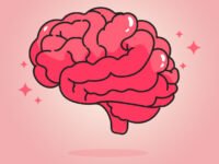O que é Neuroplasticidade - Uma jornada pelo cérebro adaptável