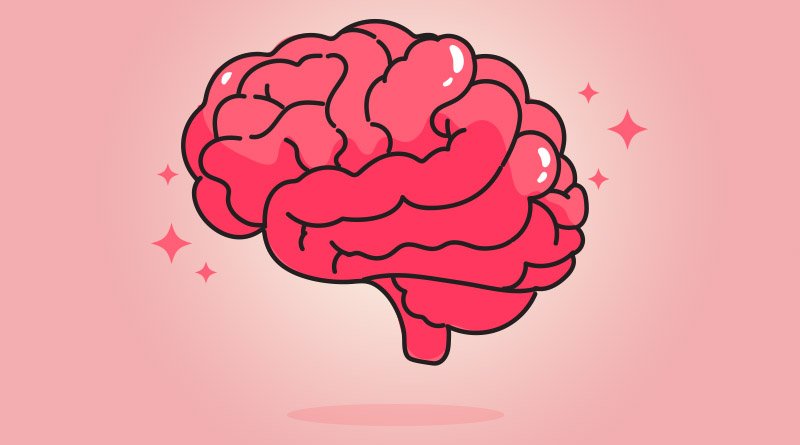 O que é Neuroplasticidade? Uma jornada pelo cérebro adaptável