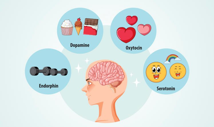 What are neurotransmitters and how do they impact your life?