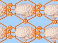 Brainet - do cérebro individual à mente coletiva