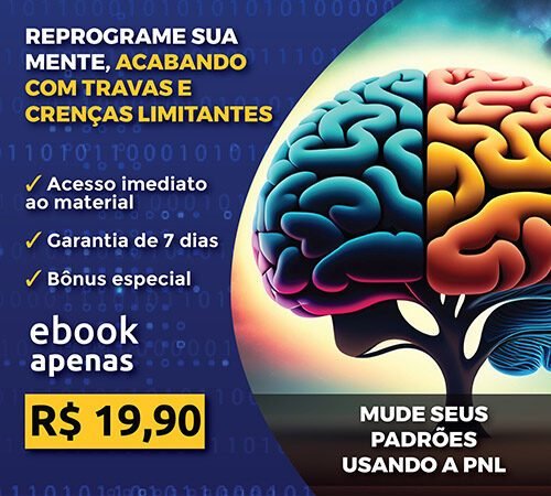 ad01-Img-Ebook-Reprograme-se-para-o-sucesso-500x500